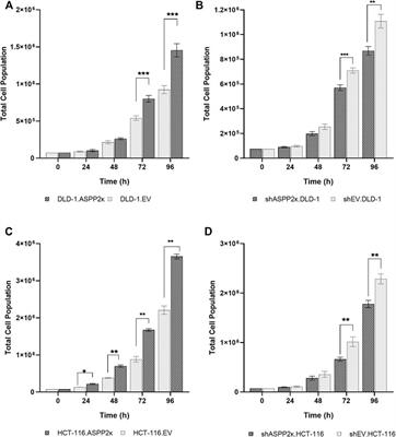 ASPP2κ Is Expressed In Human Colorectal Carcinoma And Promotes Chemotherapy Resistance And Tumorigenesis